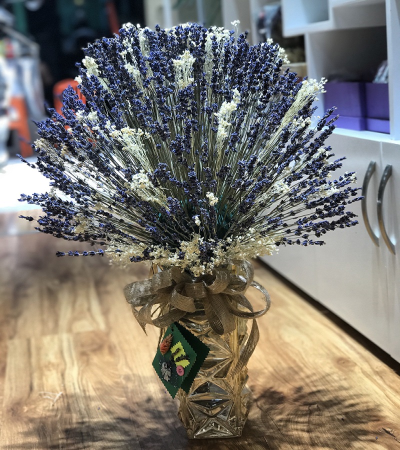 Tổng hợp những hình ảnh đẹp ý nghĩa về hoa oải hương [ Lavender ] 800x900